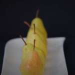 igsv6nevpc