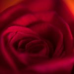 f397if